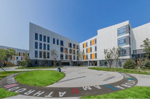 金地配建草场街教育集团盛世小学正式开学 盛况现场直击